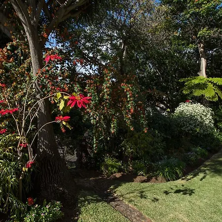 Quinta Cova *